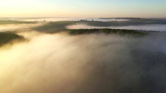 浓雾在山林之间移动