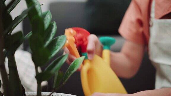 一名亚洲年轻女子用喷雾器在家浇灌植物