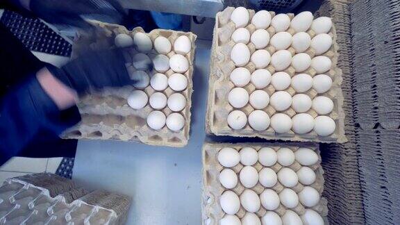 盒子里装满了鸡蛋