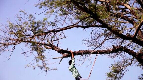 年轻人用绳子从树上爬下来