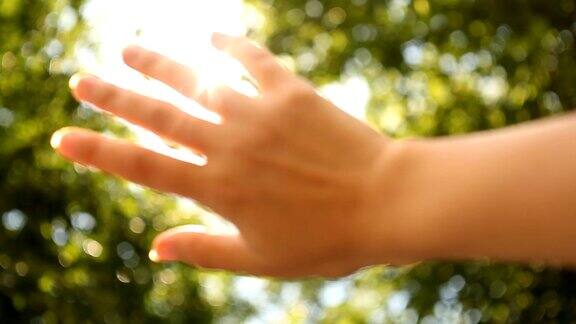 阳光透过手指的手掌