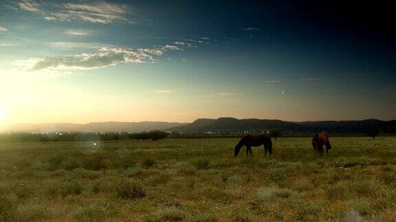 令人印象深刻的清晨云景与喂养的马