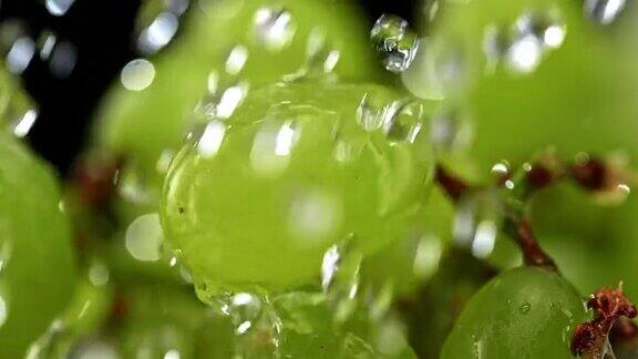水滴在葡萄浆果上