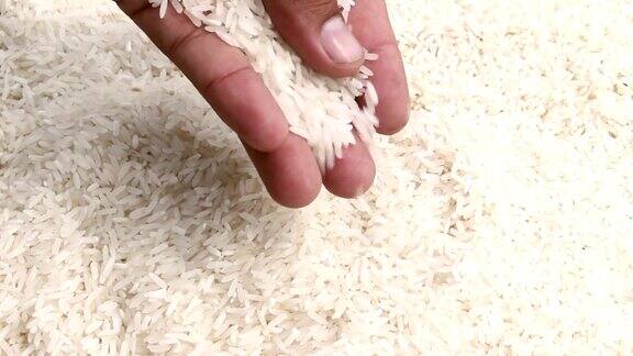 米粒在手中