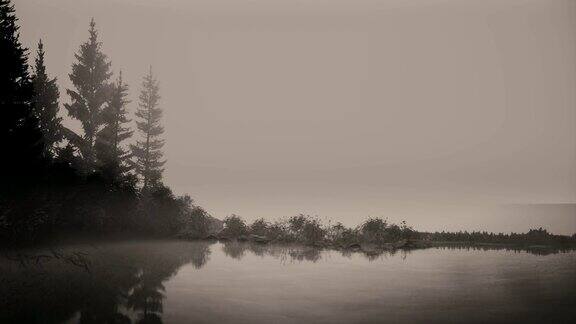 黎明时分湖面上的薄雾和树木