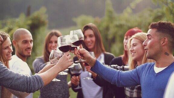 一群朋友在葡萄园里举杯畅饮