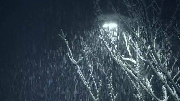 雪花飘落路灯在夜里