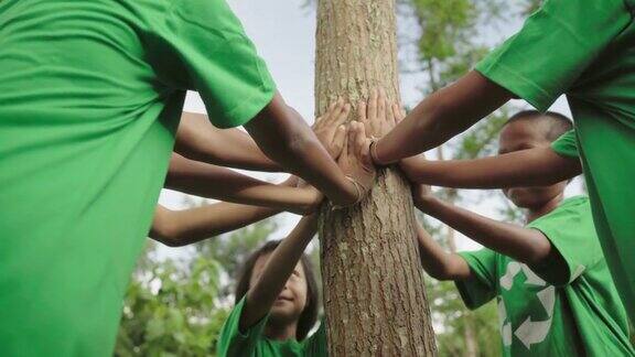 一群环保志愿者男孩女孩儿童在森林里植树世界地球日植树节