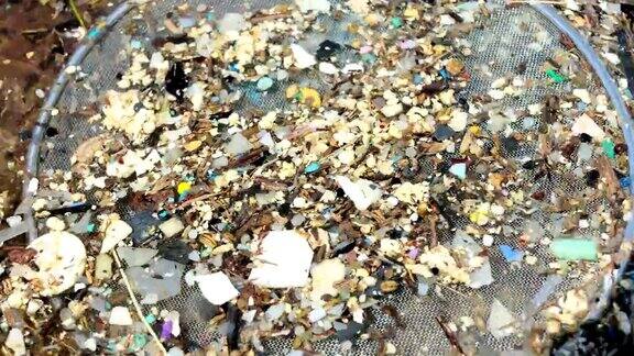 微塑料是污染环境的非常小的塑料碎片