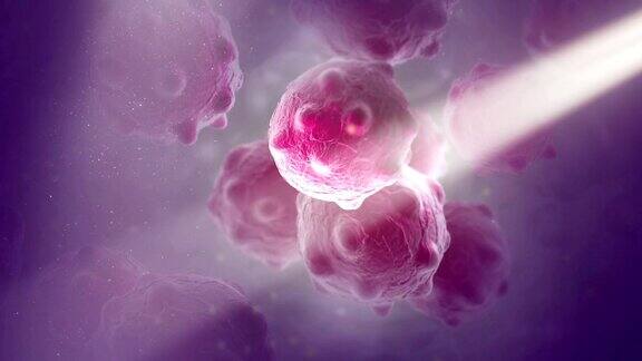近距离图像的紫色癌细胞束与大束尘埃