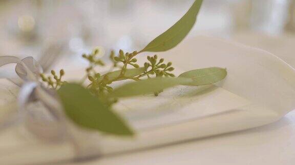 桌子上的植物特写镜头