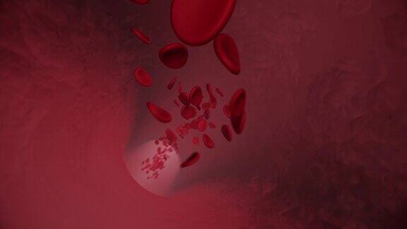 血管中流动的血细胞