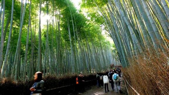 日本京都岚山游客在竹林中漫步