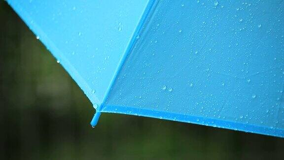 雨水从伞上落下