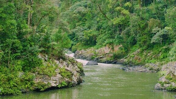 一条美丽的河流在马达加斯加岛的热带雨林中流动的惊人镜头