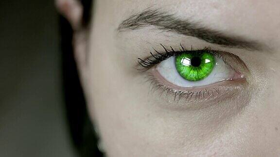 危险的绿眼睛女性
