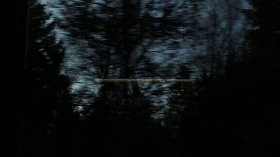 光秃秃的冬天树木通过窗户看到火车