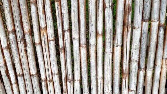 纹理的竹子
