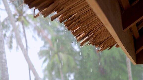 热带茅草屋顶上的雨滴水滴下降