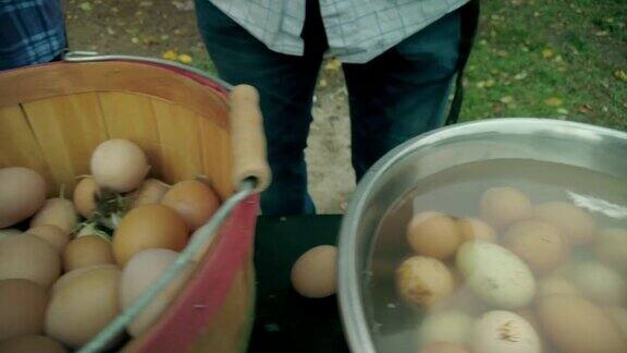 农场饲养的鸡自由放养的各种颜色鸡蛋包装在鸡蛋纸箱农场到餐桌美国西部农场生活和可持续生活4K视频系列