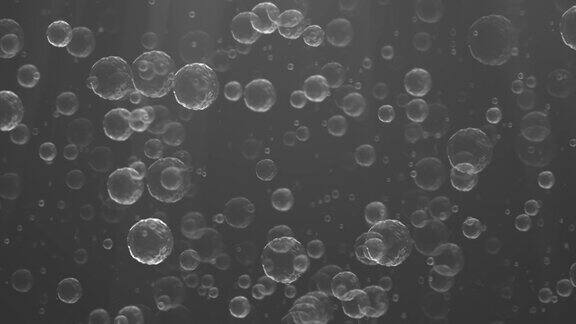 4K-抽象宏观气泡背景可循环-白色