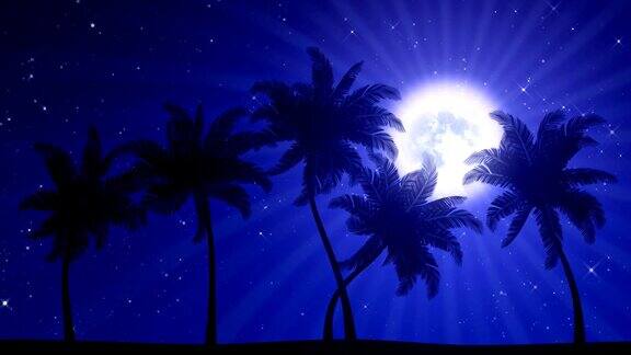 棕榈树与月亮和星星(动画高清背景)
