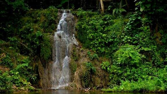 美丽的热带绿色森林小瀑布