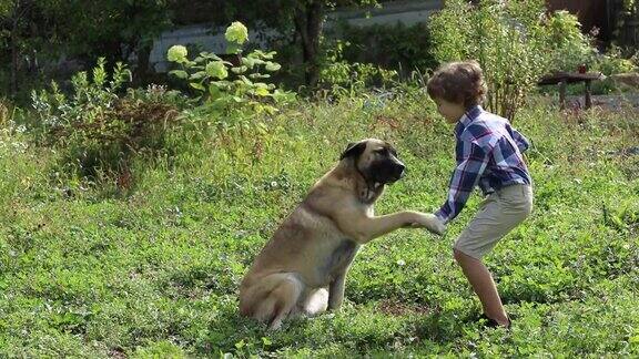 一个男孩在花园里训练一只大狗