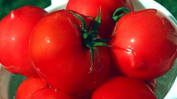 湿成熟的西红柿