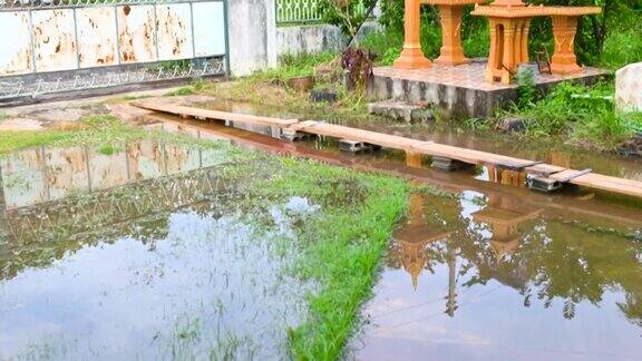 生活在雨季