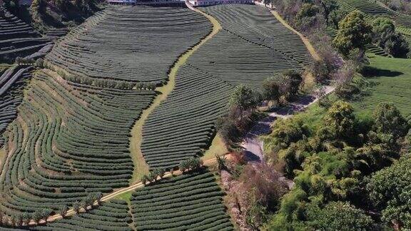 亚洲有机农业区鸟瞰图