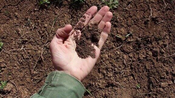 人类用手采集泥土、粘土的泥土样本