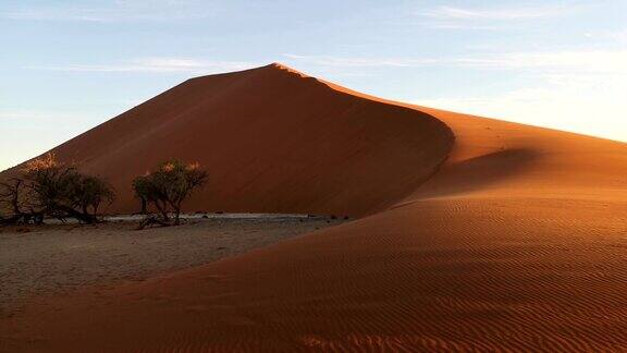 纳米比亚沙漠沙丘被日落与灌木和风4k视频