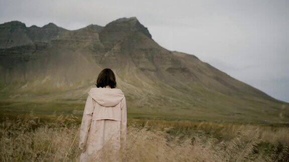 在冰岛一个女人在散步看风景优美的山