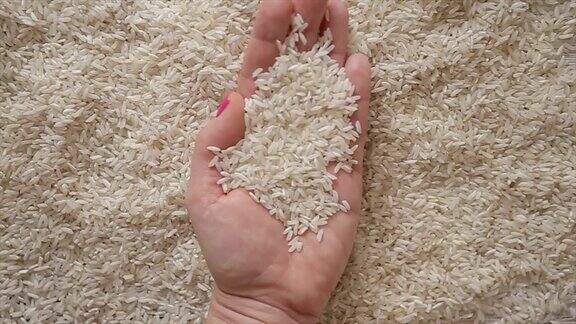 水稻种子b卷