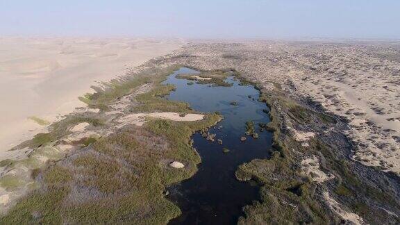 4K空中接近然后倾斜飞在纳米比亚骷髅海岸纳米布沙漠的绿洲春天的视图
