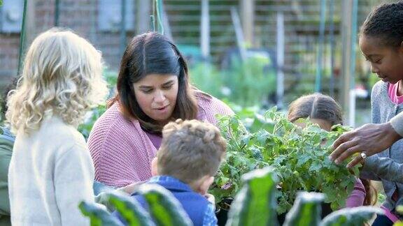 在社区花园教孩子们植物的妇女