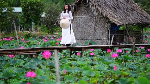 越南妇女举着莲花在莲花地里行走