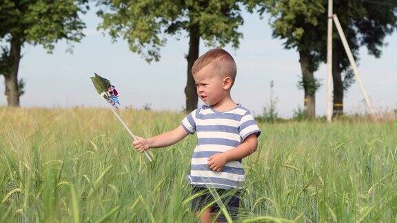 美国一个小男孩在绿色的麦田里玩风车