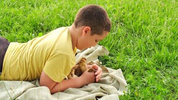 男孩躺在草地上抱着小鸭子在春天