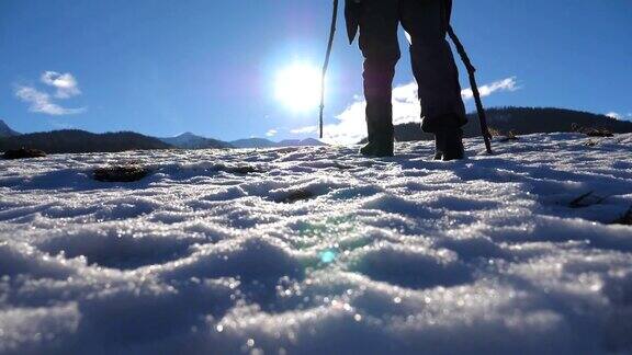 后视图的年轻徒步旅行者去北欧与手杖在雪原在阳光明媚的一天一个面目全非的人在雪地上跋涉在山上爬山健康积极的生活方式慢动作