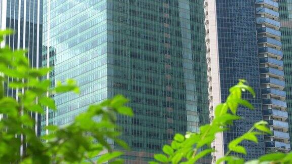 近距离观察:城市建筑俯瞰大都市市中心的绿色公园