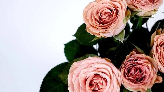 特写俯视鲜花花束旋转花卉组成由玫瑰卡布奇诺神圣的美