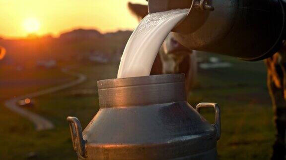 日落时分往桶里倒牛奶