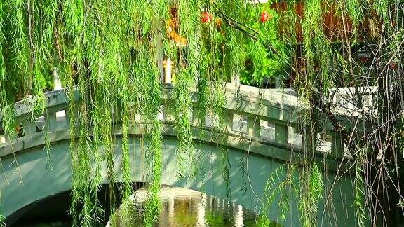 中式的混凝土桥和花园里摇曳的柳树