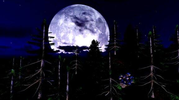 山上松树上美丽的大月亮