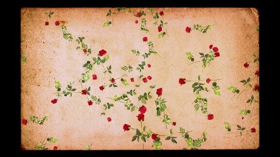 浪漫背景循环落在垃圾纸上的玫瑰