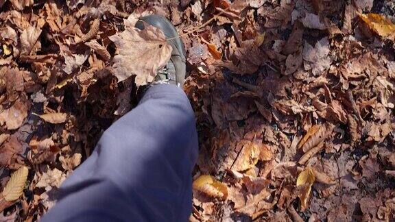 人的脚踩在秋色落叶的季节