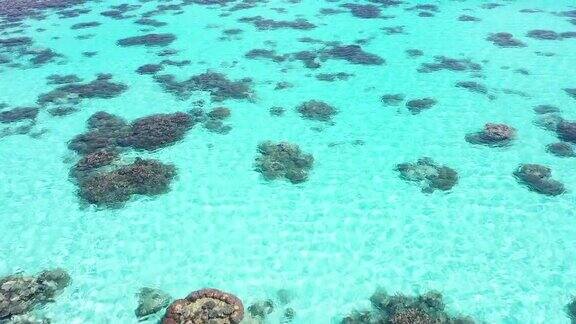 鸟瞰图珊瑚礁