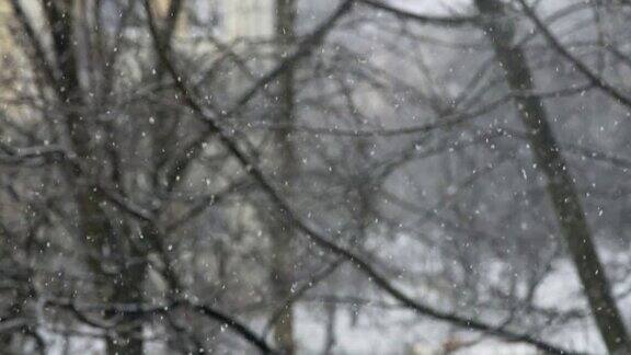 暴风雪的背景